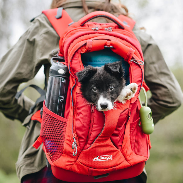 G-Train Dog Carrier Backpack