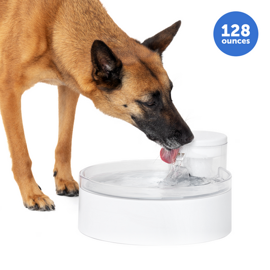 Outlast™ Dog Fountain, 128 oz