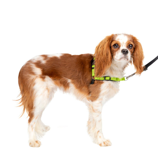 Deluxe Easy Walk® Harness