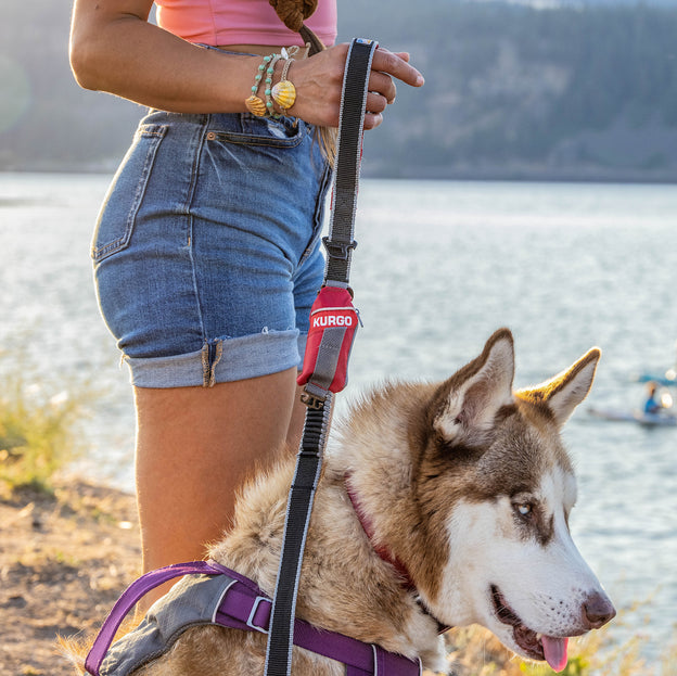 Duty Bag - Dog Poop Bag Dispenser