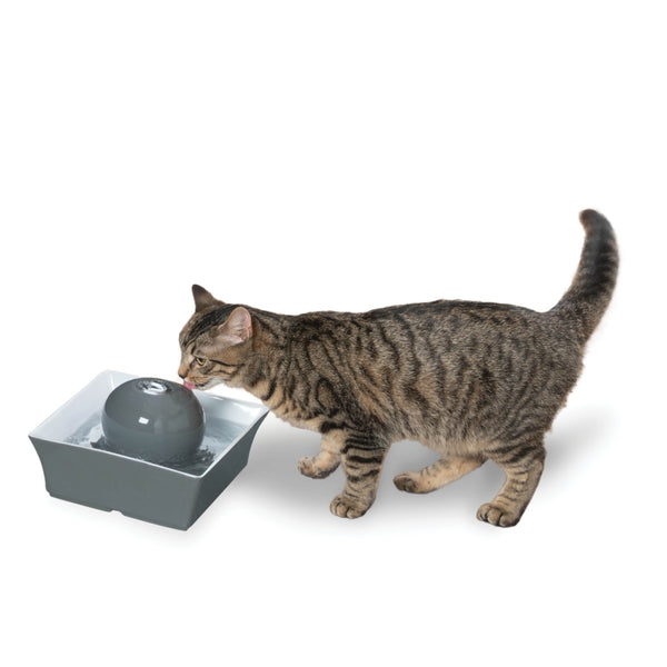 Drinkwell® Seascape Pet Fountain