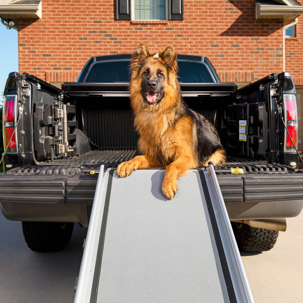 Happy Ride® Extra Long Telescoping Dog Ramp