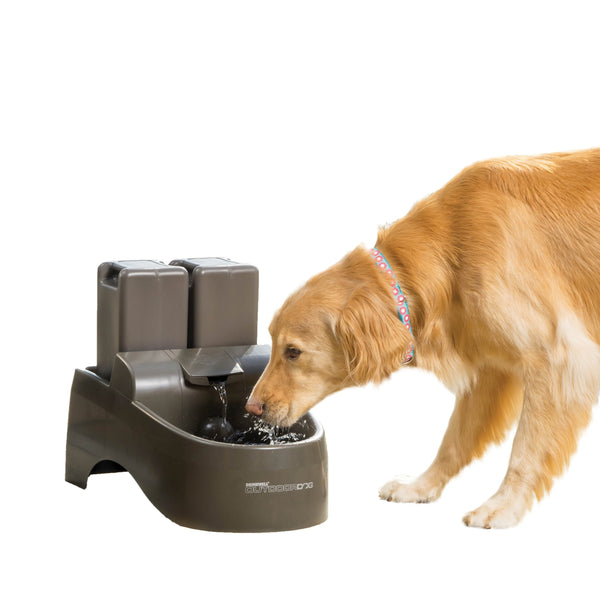 Drinkwell® Outdoor Dog Fountain