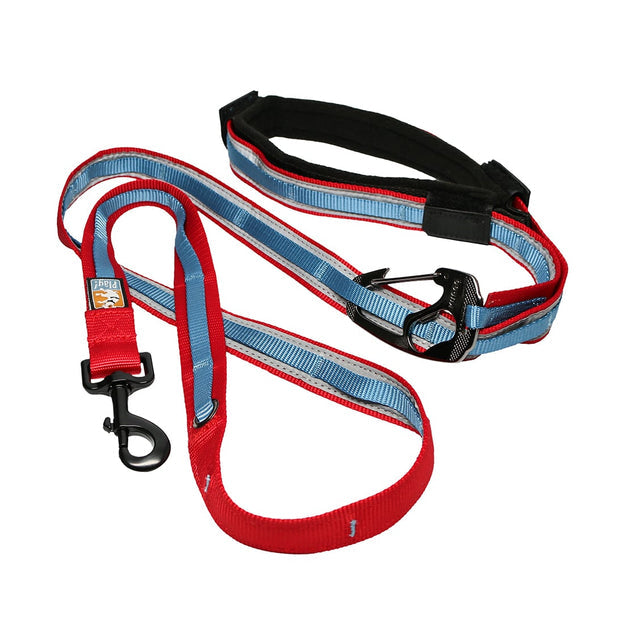 Quantum 6-in-1 Dog Leash