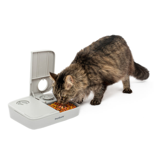 Automatic 2 Meal Pet Feeder